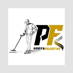 پویا فلزیاب